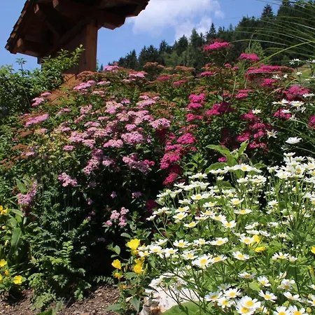 Appartement Seidlgut